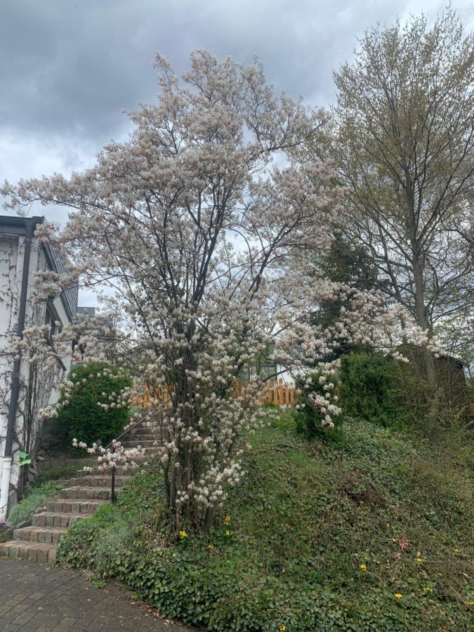 Ferienwohnung Emma 奥尔斯贝格 外观 照片
